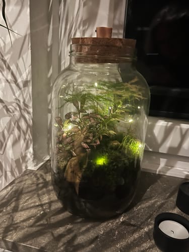 Customer photo review of Karline und der Flaschengarten - Kinderbuch und Flaschengarten