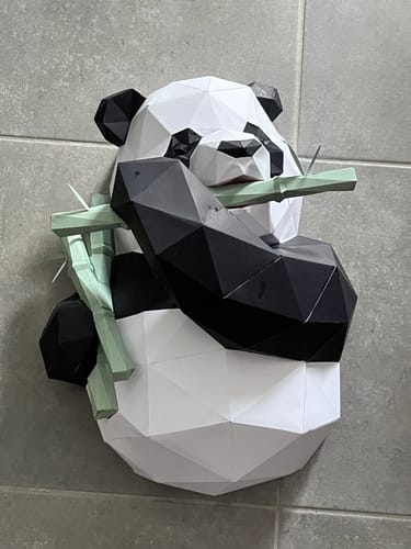 Customer photo review of Patrons Panda (pdf)
