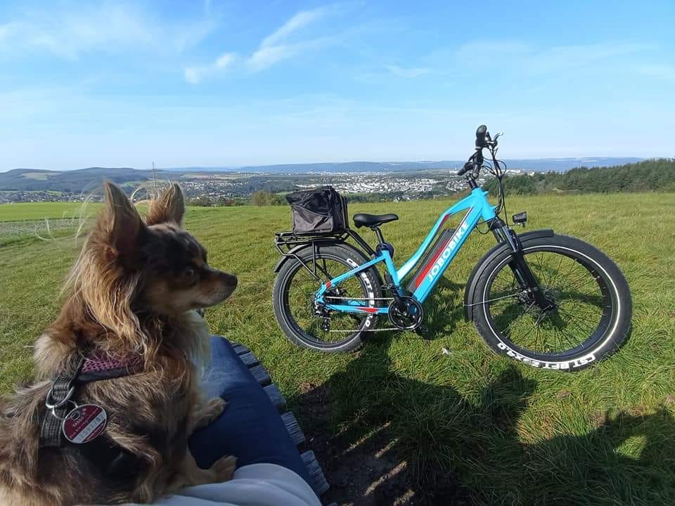 Customer photo review of JOBOBIKE Robin
