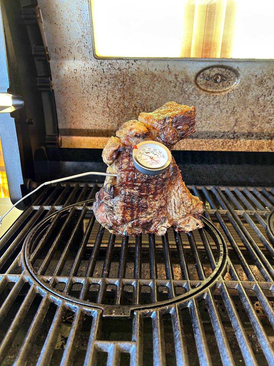 Customer photo review of Fiorentina Black Angus EIRE
