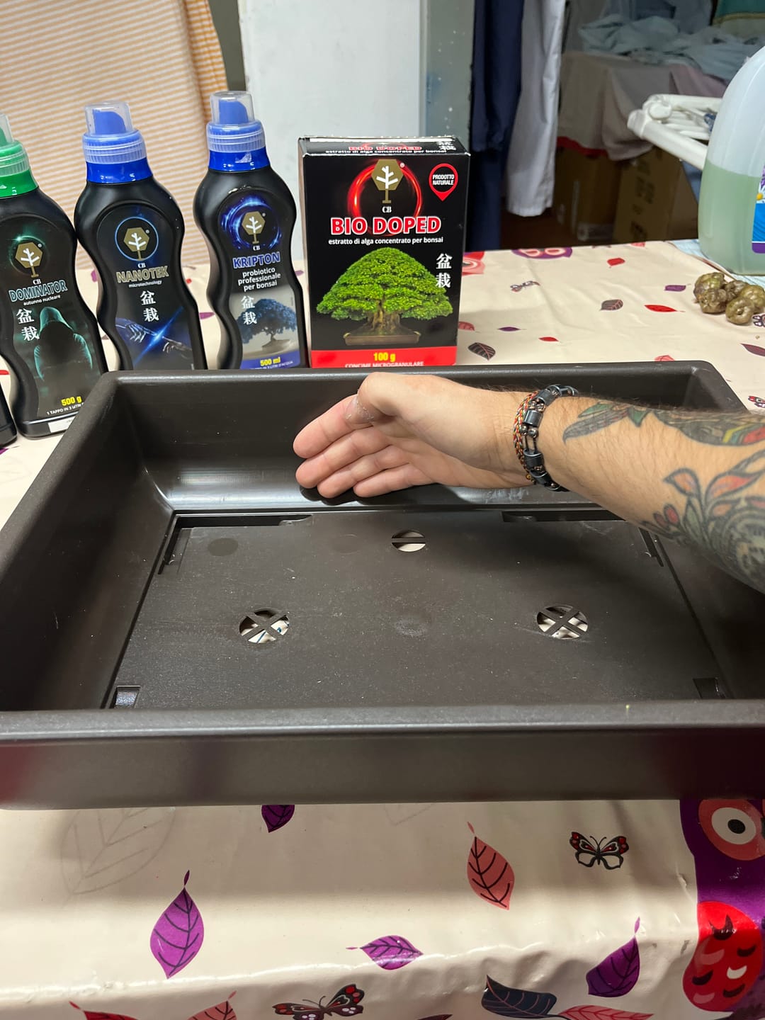 Customer photo review of VASI BONSAI PLASTICA RIGIDA PROFESSIONALI
