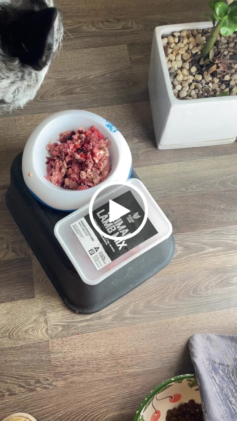 Customer video review of PRIMAL LAMB MIX - Raw