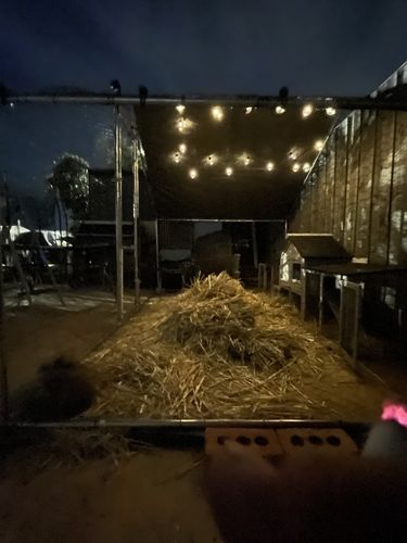 Customer photo review of Walk-in Chicken Run with Waterproof Cover 3m x 2m