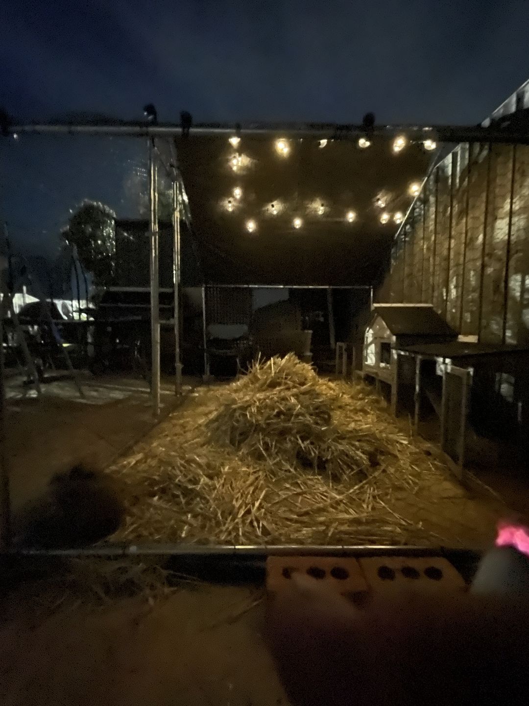 Customer photo review of Walk-in Chicken Run with Waterproof Cover 3m x 2m