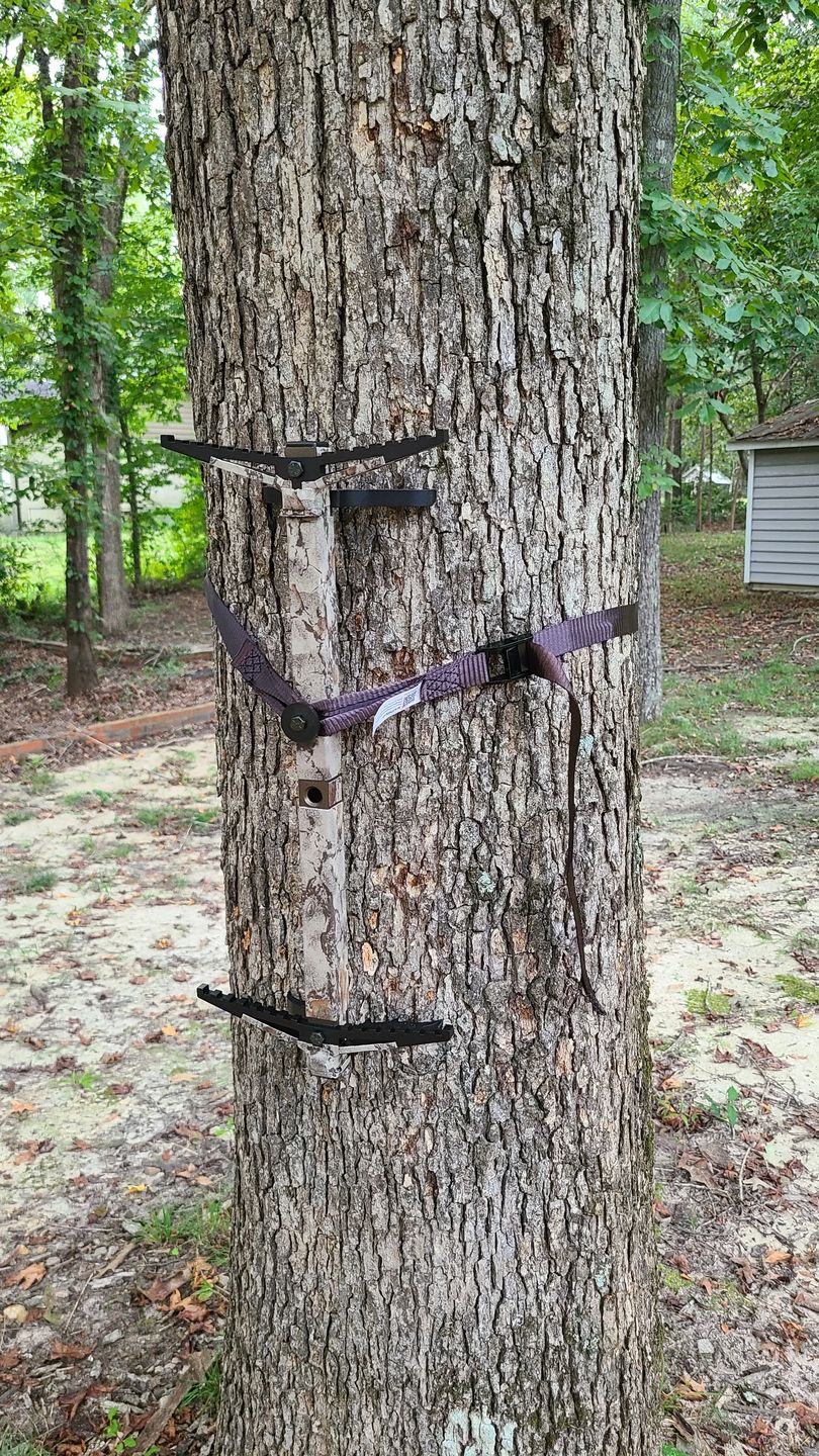 Customer photo review of 20" OB (NO HOLE) BEAST GEAR CLIMBING STICK