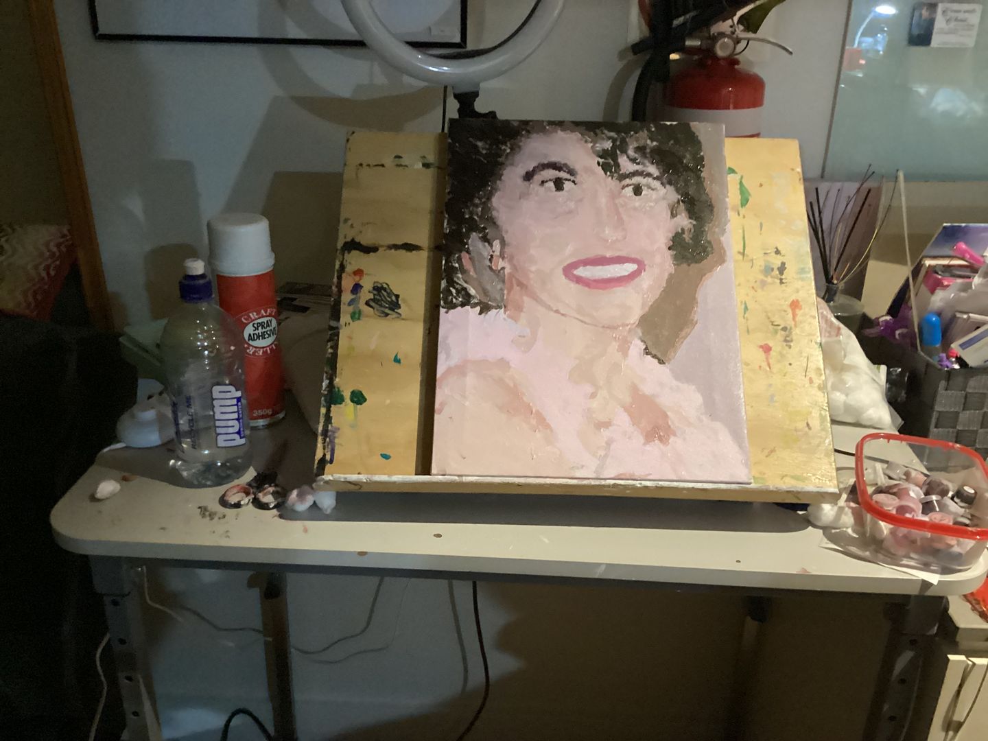 Customer photo review of Custom Paint By Numbers Kit - Upload Any Photo 30x40cm