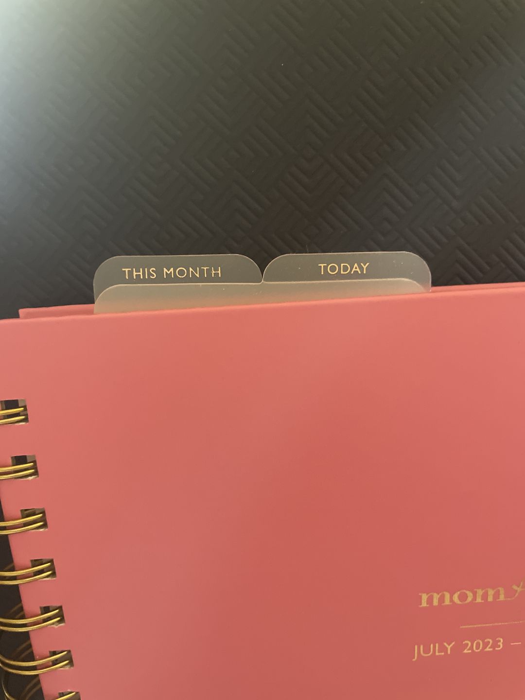 Customer photo review of *NEW* Snap-In Bookmark / Ruler for Spiral Planner