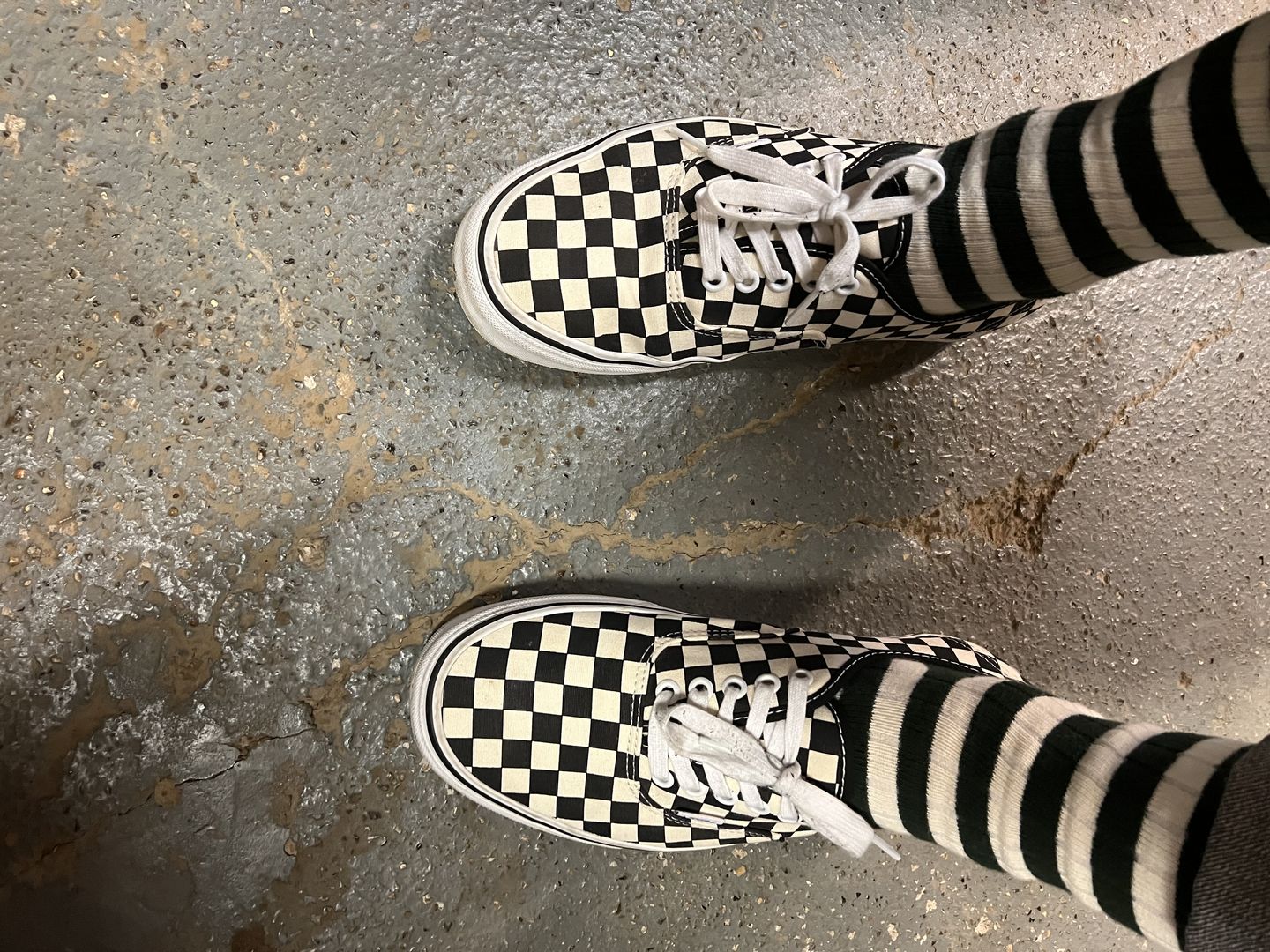 Customer photo review of Retro Striped Cotton Socks - Black/White