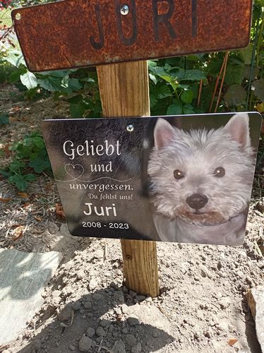 Customer photo review of Hunde Gedenktafel mit Foto & Spruch