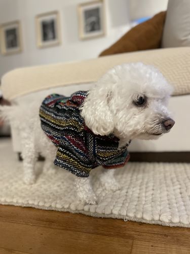 Customer photo review of Playa Poncho - Surprise Color