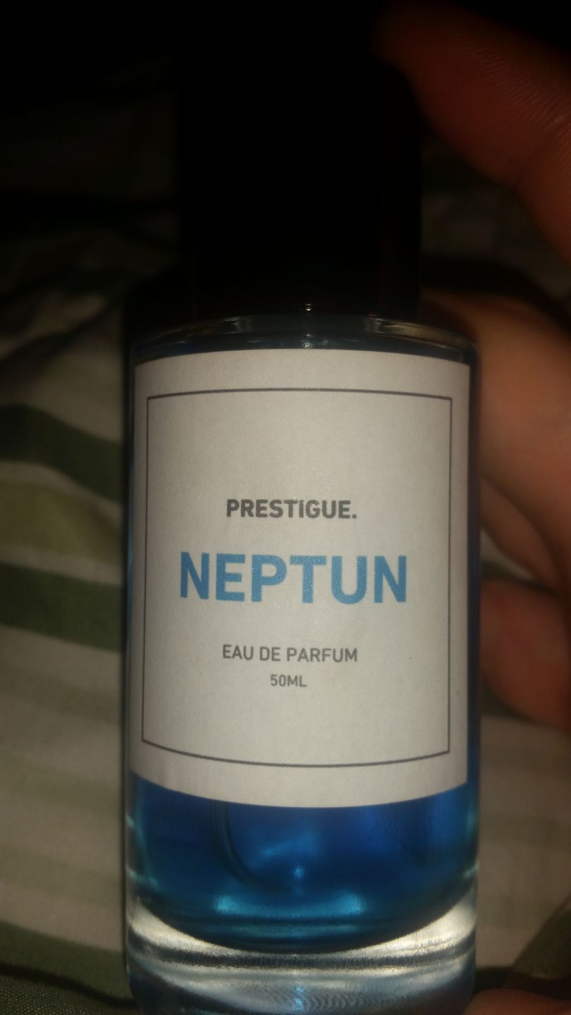 Customer photo review of NEPTUN