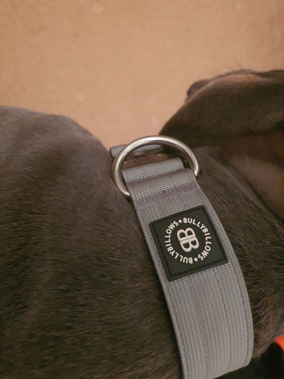 Customer photo review of 4cm Combat® Collar | Rated Clip - NO HANDLE - Metal Grey v2.0