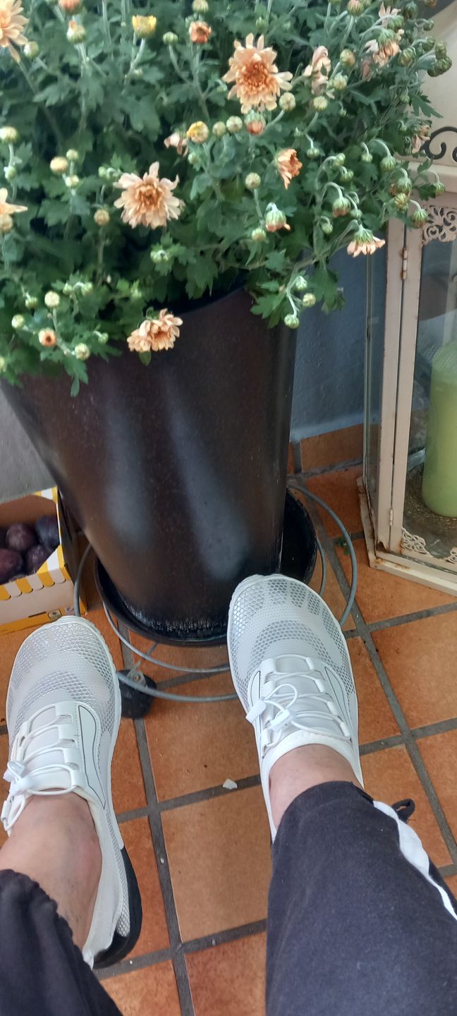 Customer photo review of Sport Max - gesunde & bequeme Barfußschuhe