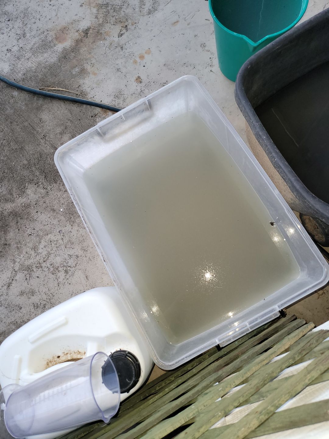 Customer photo review of Starter Bundle (Scoops included + Free Shipping)