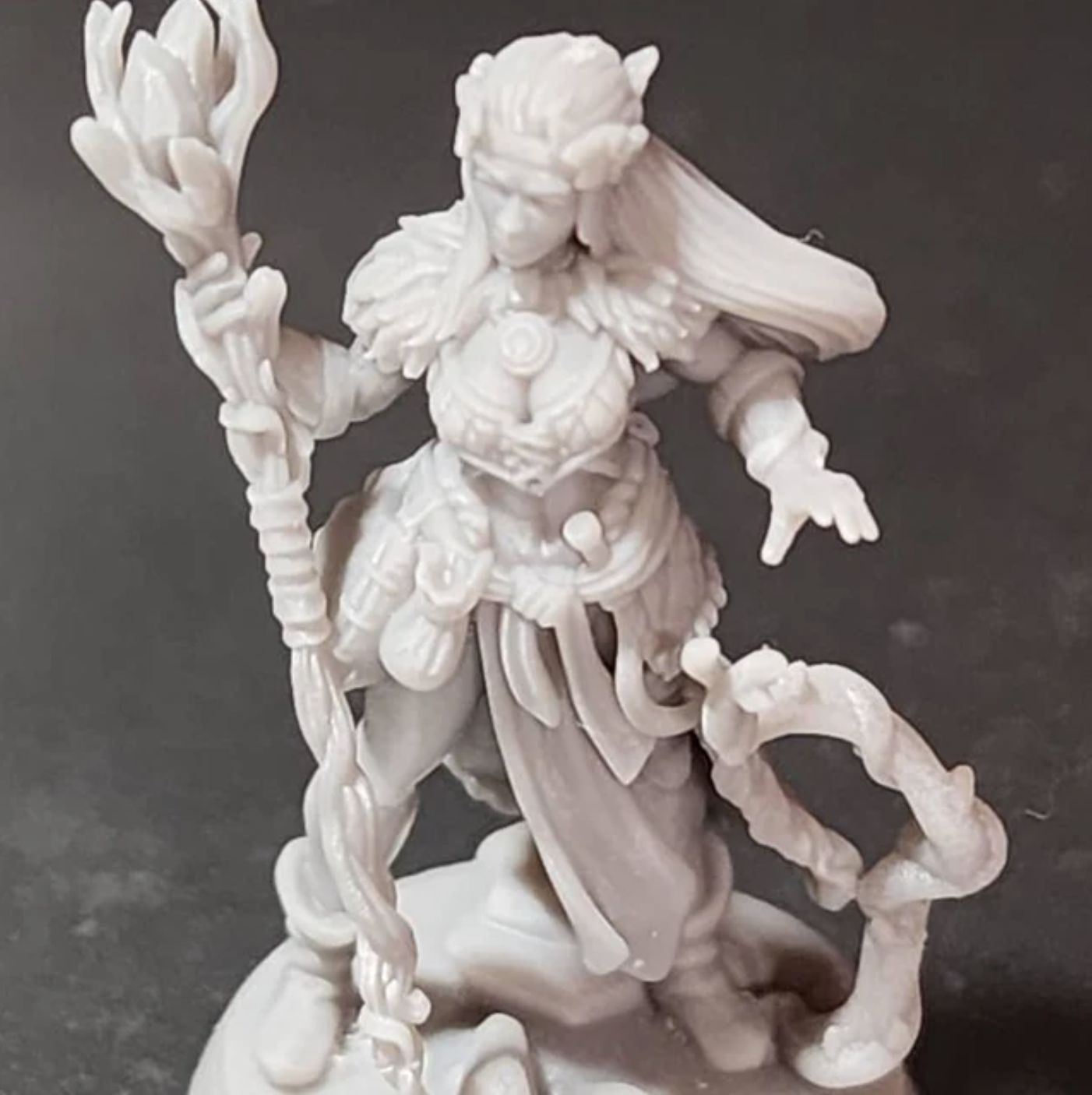 Customer photo review of Druid, Hero