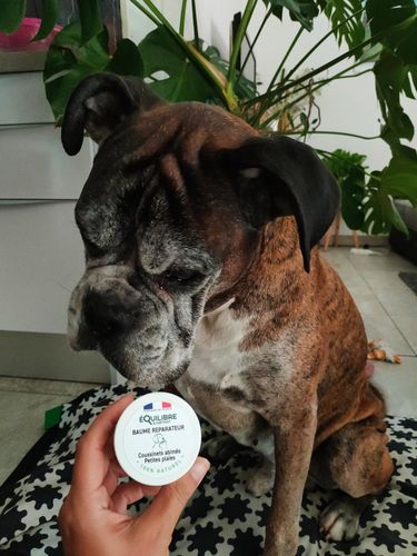 Customer photo review of Baume réparateur (chien et chat)