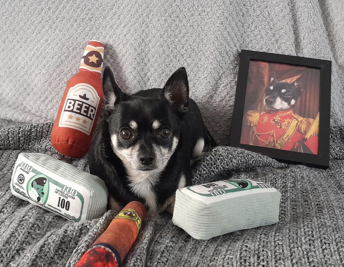 Customer photo review of The Duke: Custom Pet Portrait