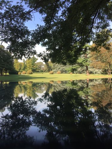 Customer photo review of Fotocamera a riflessione per telefoni cellulari