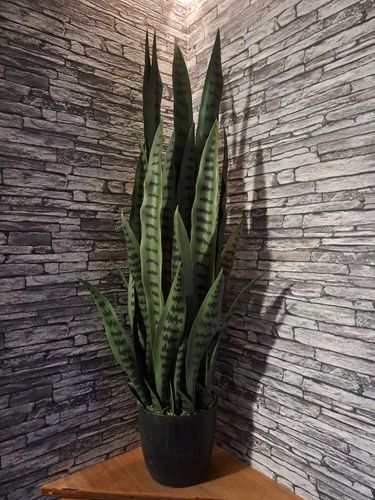 Customer photo review of Sansevieria Kunstplant 100cm