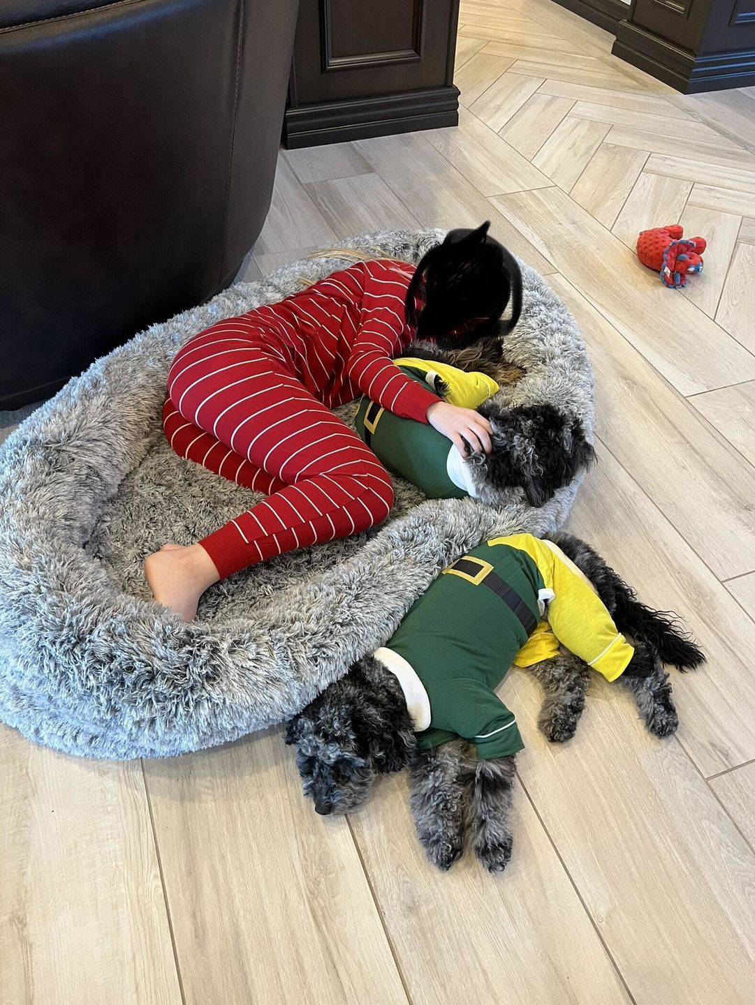 Customer photo review of Human Dog Bed