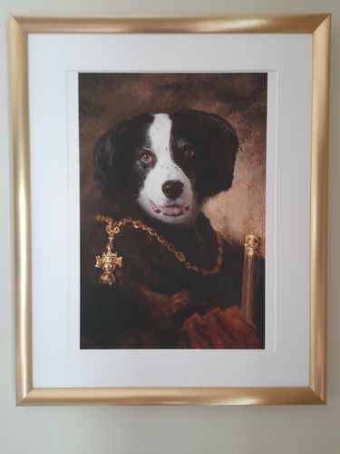 Customer photo review of The Monk - Custom Vintage Pet Portrait
