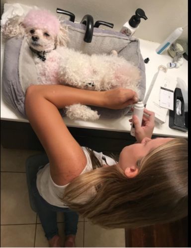 Customer photo review of PetGrind© V.3 - Premium Krallen-Pflegegerät