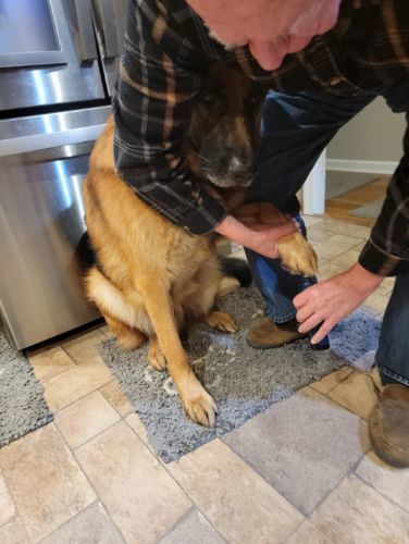 Customer photo review of PetGrind© V.3 - Premium Krallen-Pflegegerät