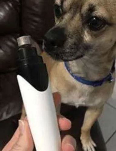 Customer photo review of PetGrind© V.3 - Premium Krallen-Pflegegerät