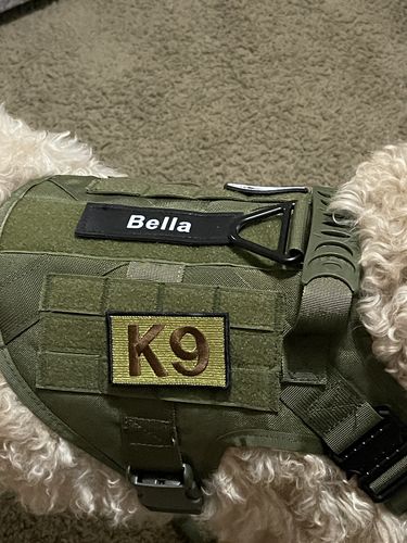Customer photo review of Classic Heavy-Duty Tactical No-Pull Team K9™ Dog Harness With Front & Back D-Rings, Quick-Release Metal-Buckles, Hook & Loop Panels, & Top Handle