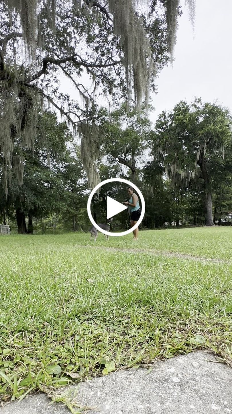 Customer video review of Flirt Pole