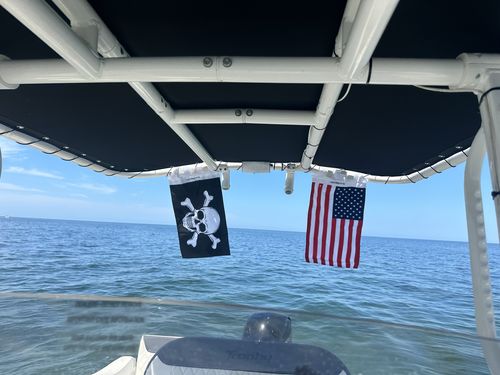 Customer photo review of American Flag