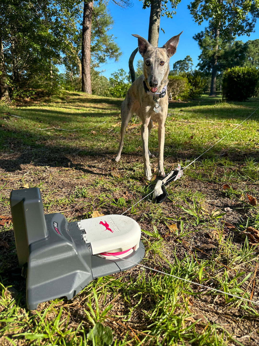 Customer photo review of Critter Pack