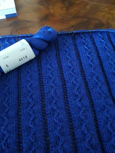 Customer photo review of SILKA 8