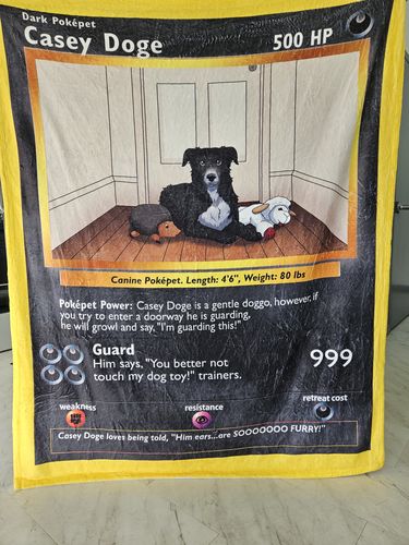 Customer photo review of Pokepet