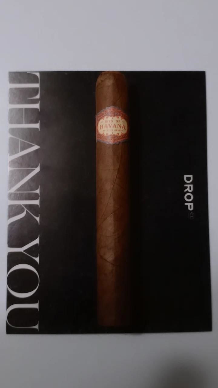 Customer photo review of Bits of Havana Robusto