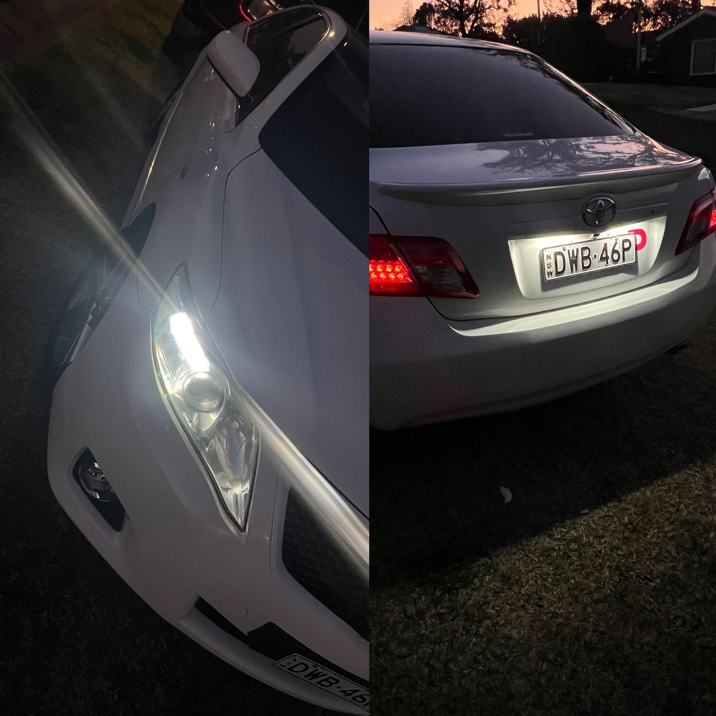 Customer photo review of T10 LED Globes