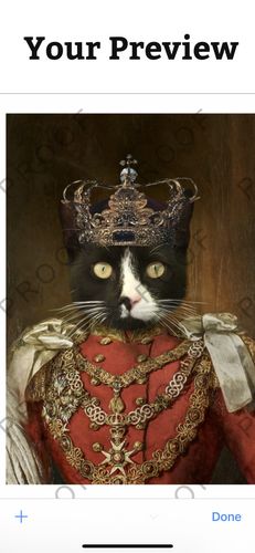 Customer photo review of The Prince - Custom Vintage Pet Portrait