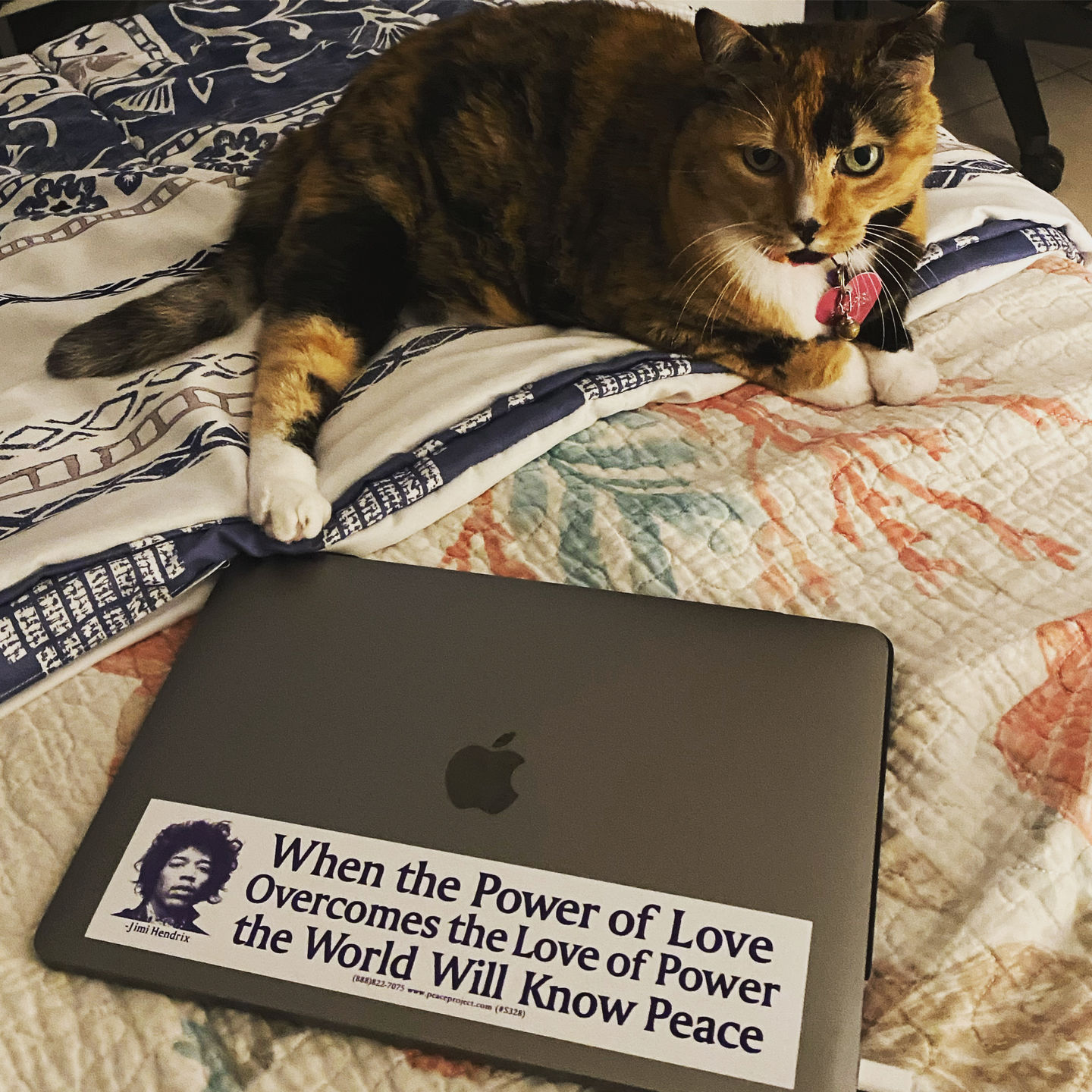 Customer photo review of Jimi Hendrix Power of Love Bumper Sticker