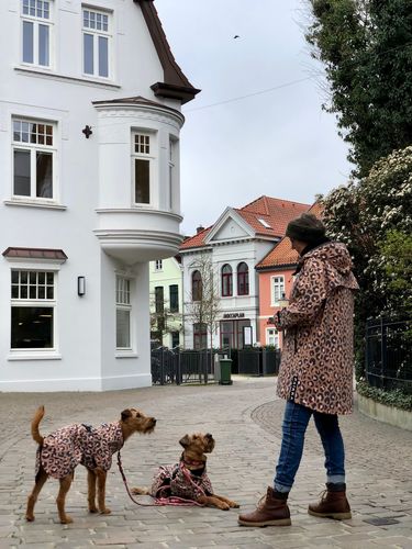 Customer photo review of Visibility Raincoat Lite Petrol dye for Dogs