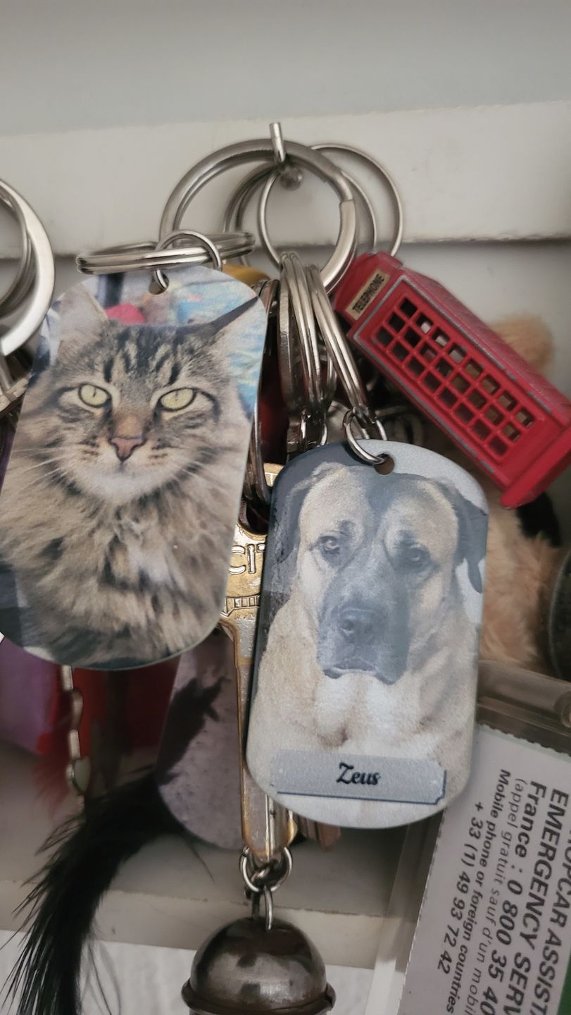 Customer photo review of Photo double face - Porte-clés Dog Tag personnalisé
