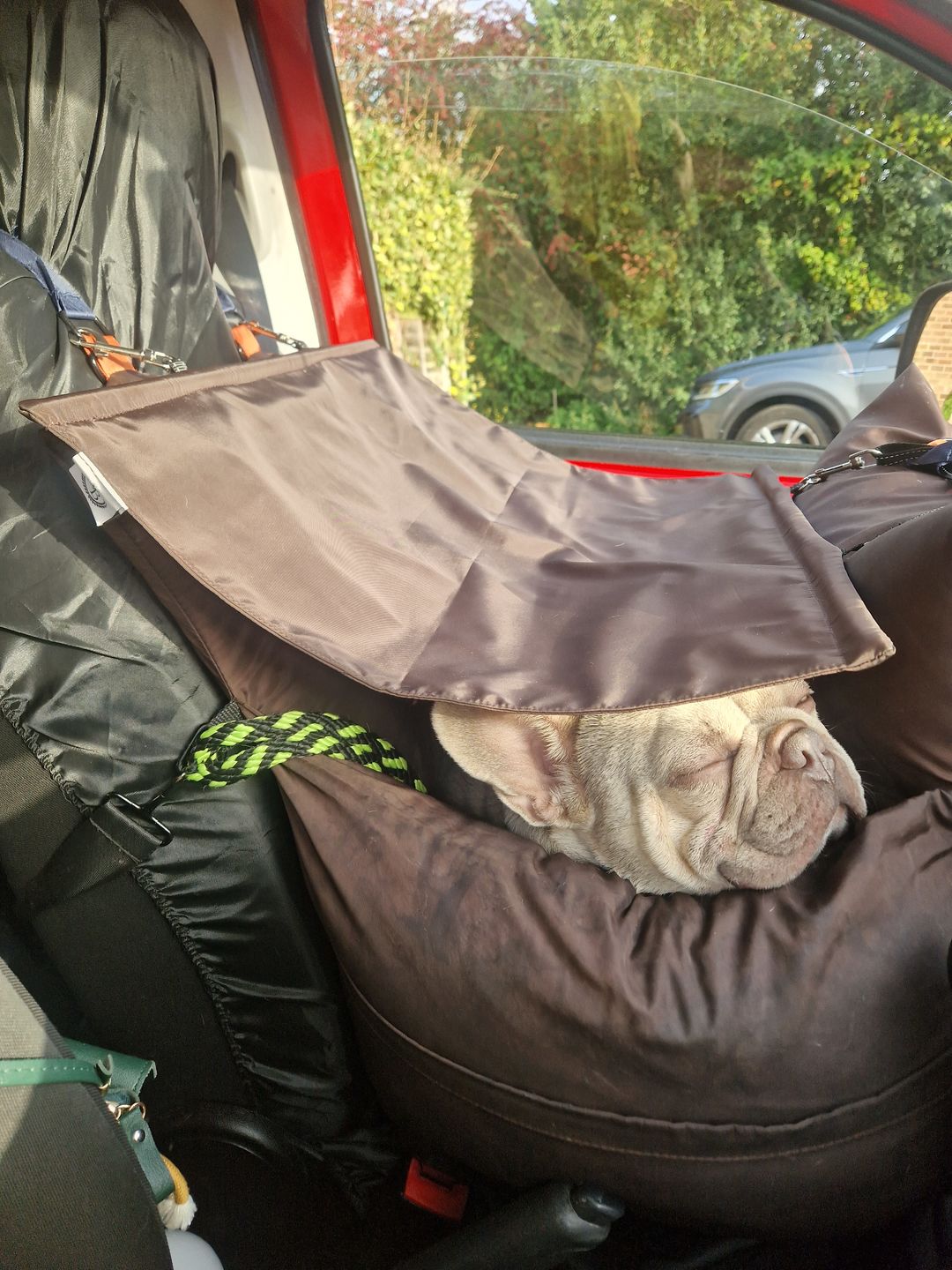 Customer photo review of Sunshade - Dog Pod Plus