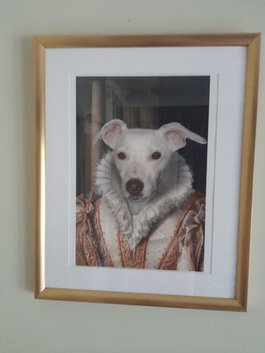Customer photo review of The Princess - Custom Vintage Pet Portrait