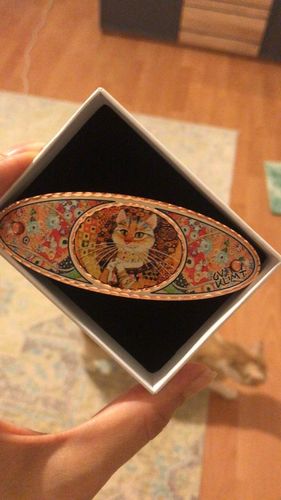 Customer photo review of Gustav Klimt Gold Cat Tasarım Toka