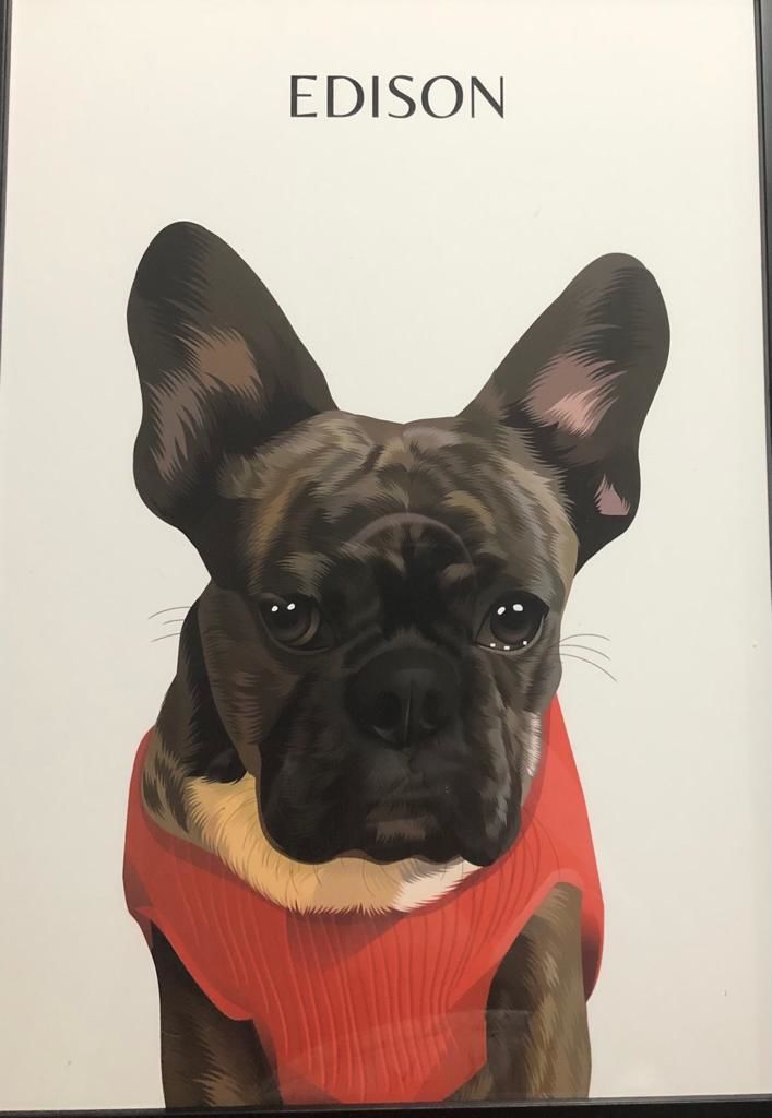 Customer photo review of One-Pet Portrait