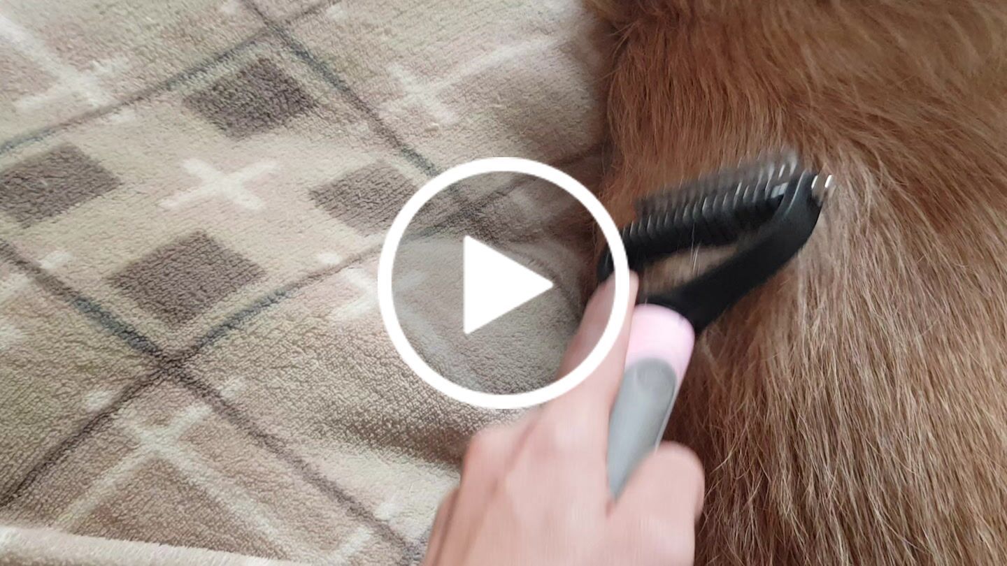 Customer video review of Cepillo Cortador de Nudos de Pelo para Mascotas Milgenial