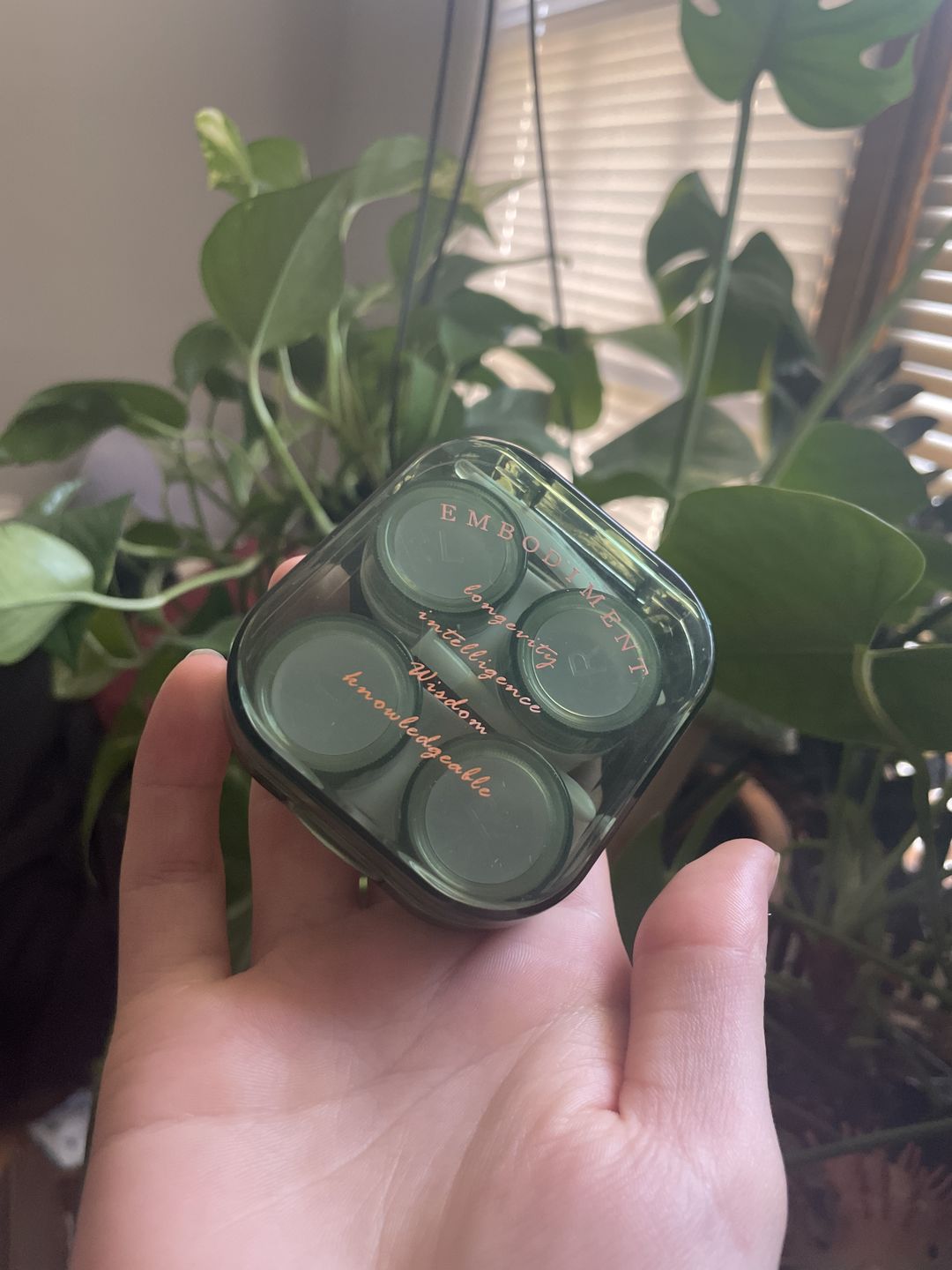 Customer photo review of Green Brown Colored Contact Lens Case