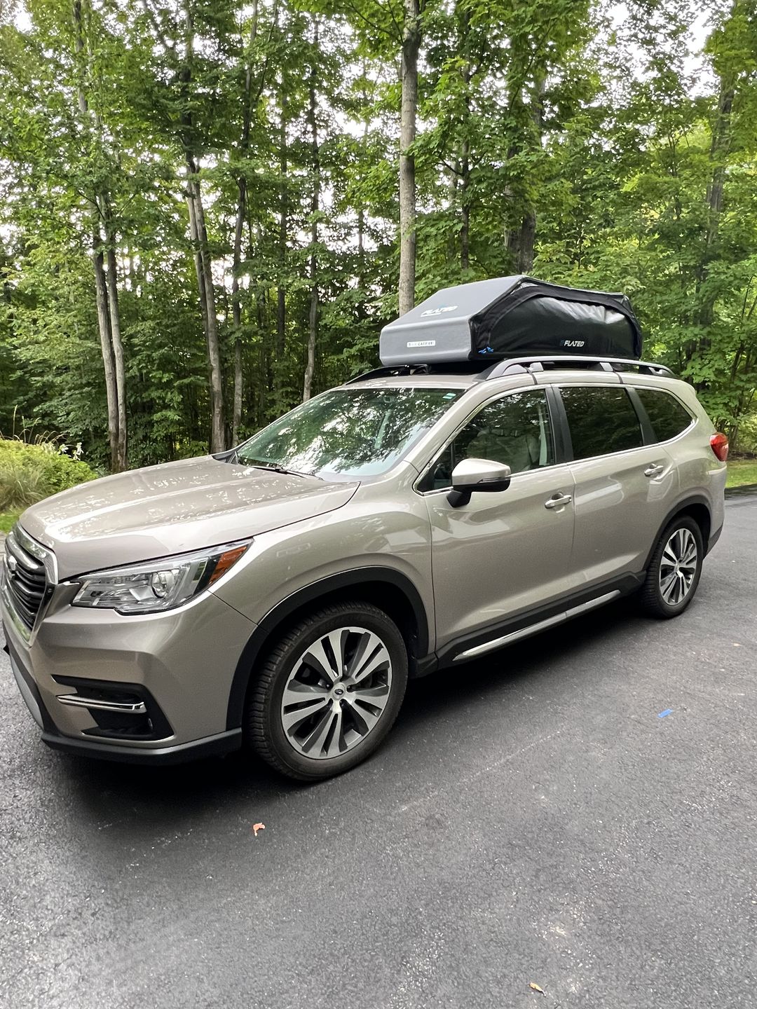 Customer photo review of LARGE CARRIER23