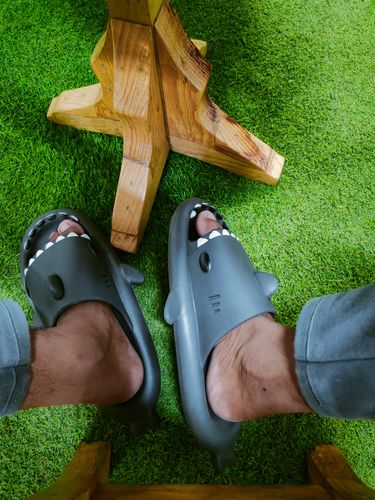 Customer photo review of The Original Shark Slides