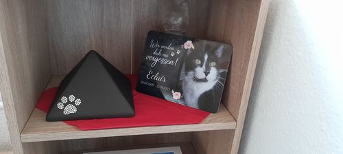 Customer photo review of Katzen Gedenktafel mit Foto & Spruch
