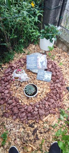 Customer photo review of Hunde Gedenktafel mit Foto & Spruch